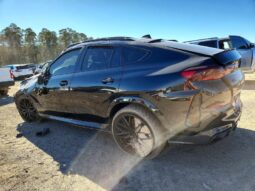 
										2022 BMW X6 full									