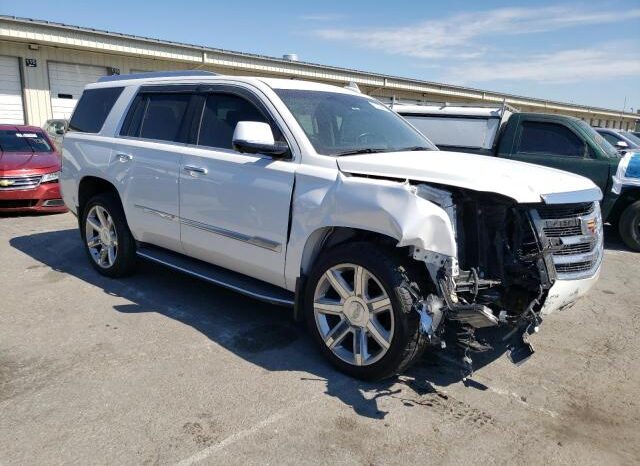 
								2019 Cadillac Escalade full									