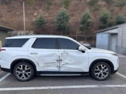 
										HYUNDAI PALISADE full									
