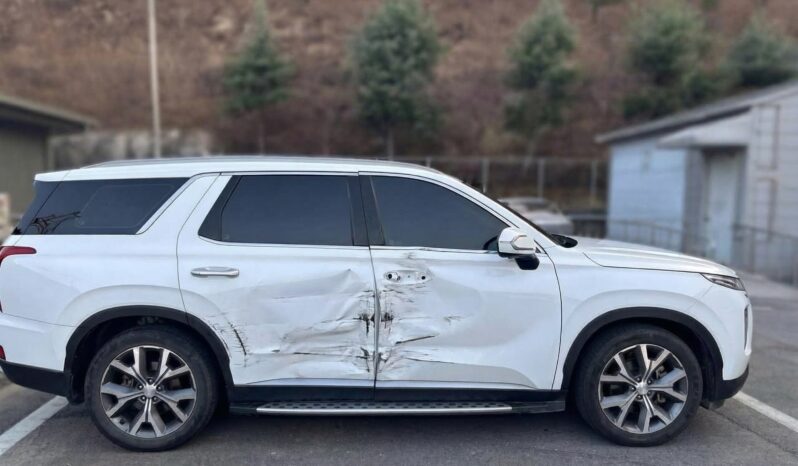 
								HYUNDAI PALISADE full									