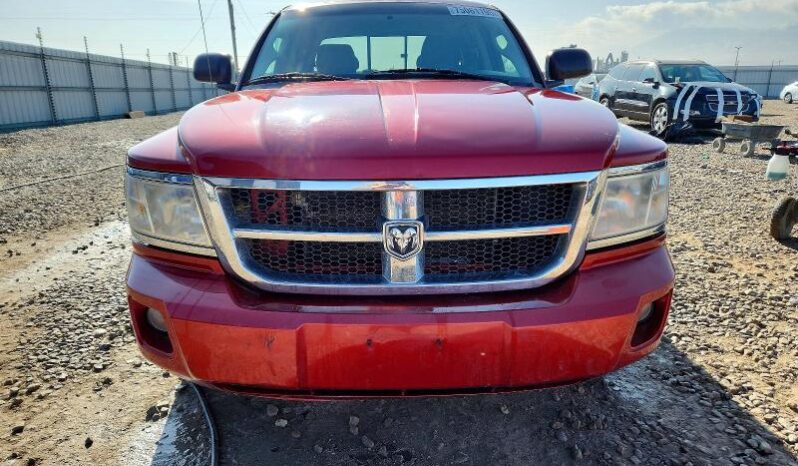 
								2008 Dodge Dakota full									