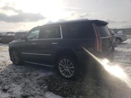 
										2020 Cadillac Escalade full									