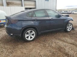 
										2010 BMW X6 full									