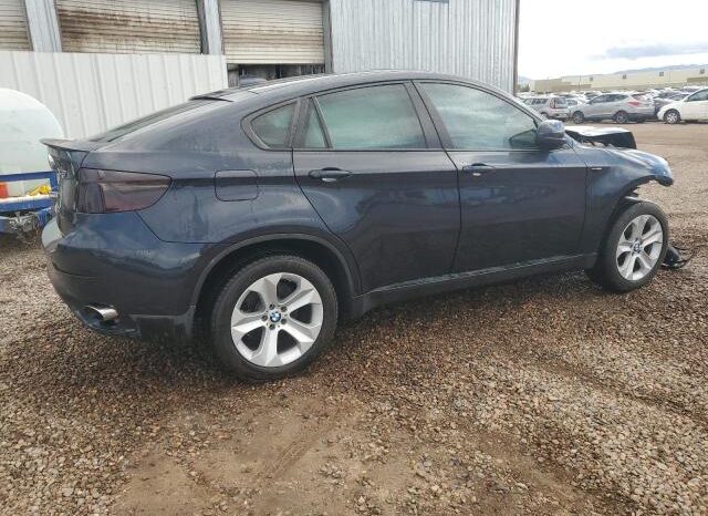 
								2010 BMW X6 full									