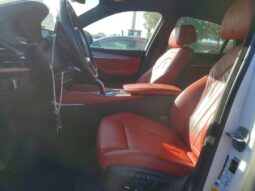 
										2019 BMW X6 full									