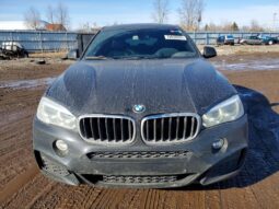 
										2018 BMW X6 full									