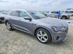 
										2019 Audi E-tron full									