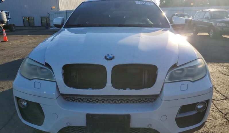 
								2013 BMW X6 full									