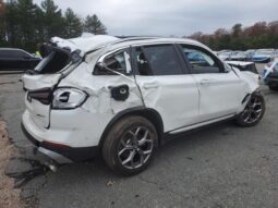 
										2024 BMW X3 full									