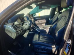
										2017 BMW X6 full									