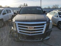 
										2019 Cadillac Escalade full									