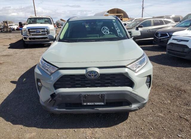 
								2019 Toyota Rav4 full									