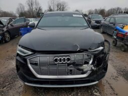 
										2022 Audi E-tron full									