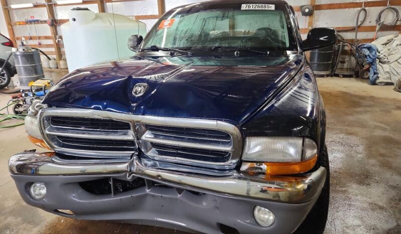 
								2004 Dodge Dakota full									