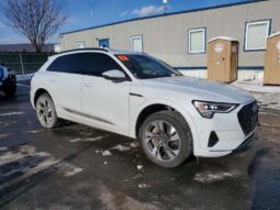 
										2022 Audi E-tron full									