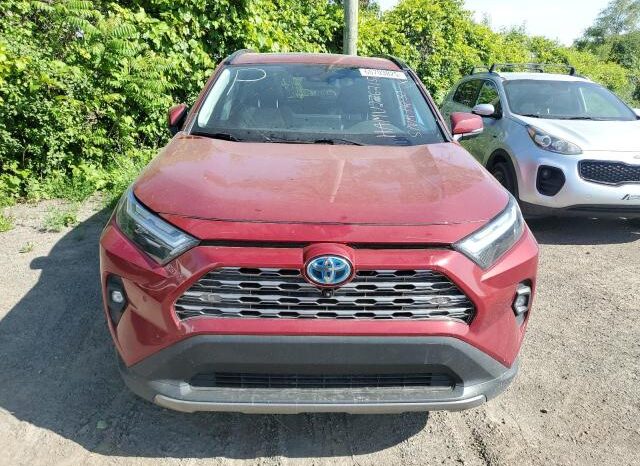 
								2023 Toyota Rav4 full									