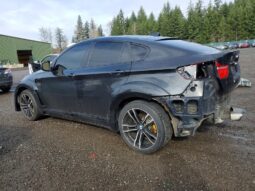 
										2010 BMW X6 full									