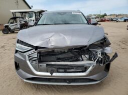 
										2019 Audi E-tron full									