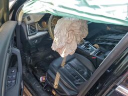 
										2021 Audi Q5 full									