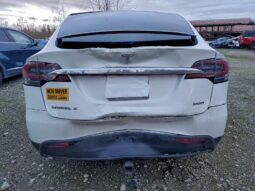 
										2018 Tesla Model x full									