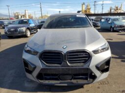 
										2024 BMW X6 full									