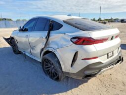 
										2022 BMW X6 full									