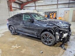 
										2024 BMW X6 full									