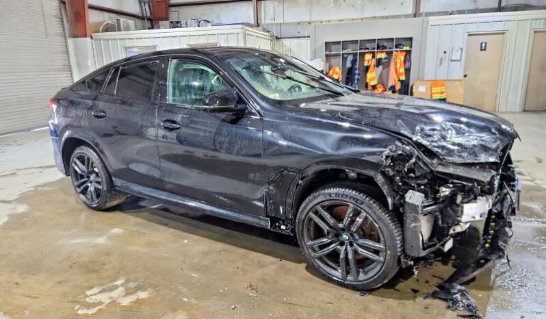 
								2024 BMW X6 full									
