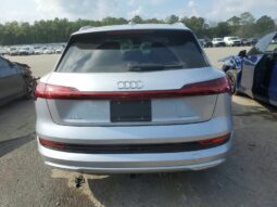 
										2022 Audi E-tron full									