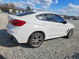 
										2018 BMW X6 full									