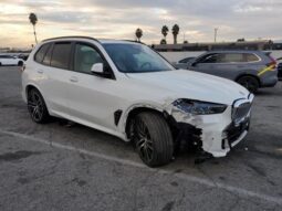 
										2025 BMW X5 full									