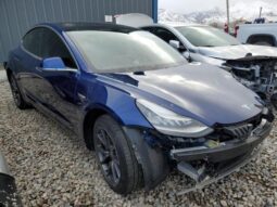 
										2019 Tesla Model 3 full									