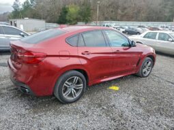 
										2019 BMW X6 full									
