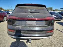 
										2019 Audi E-tron full									