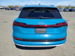
										2019 Audi E-tron full									