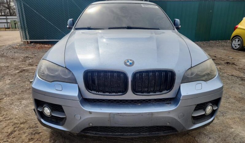 
								2010 BMW X6 full									