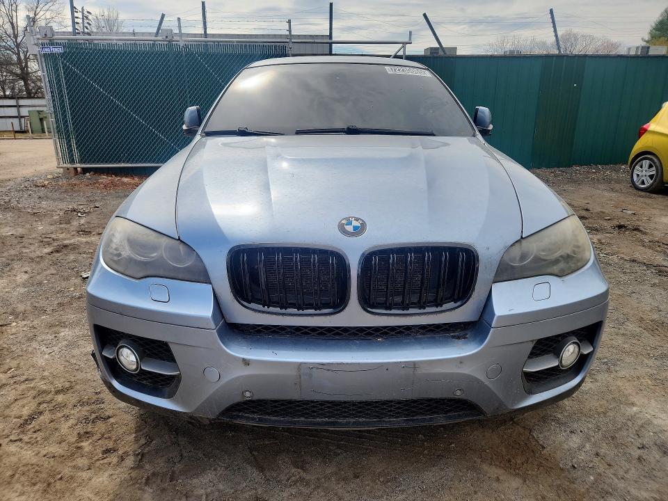 2010 BMW X6