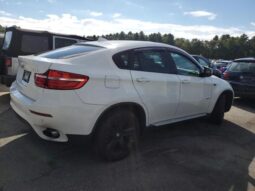 
										2013 BMW X6 full									
