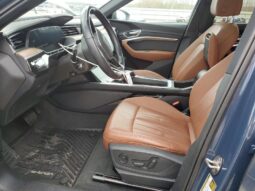 
										2022 Audi E-tron full									