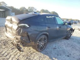 
										2022 BMW X6 full									