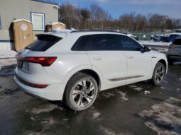 
										2022 Audi E-tron full									