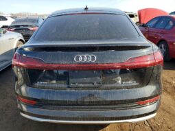 
										2020 Audi E-tron full									