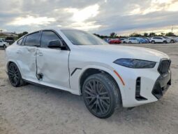 
										2026 BMW X6 full									