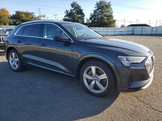 2019 Audi E-tron