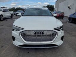 
										2019 Audi E-tron full									