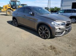 
										2017 BMW X6 full									