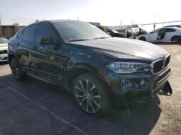 
										2018 BMW X6 full									