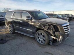 
										2019 Cadillac Escalade full									