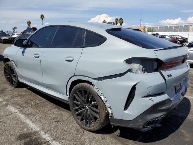 2025 BMW X6