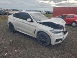 
										2018 BMW X6 full									